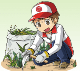 の画像